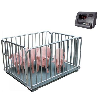 Balança eletrônica de peso de piso para animais 1M 2t Balança de porco 3t Ovelha e vaca Precisão 0,5kg