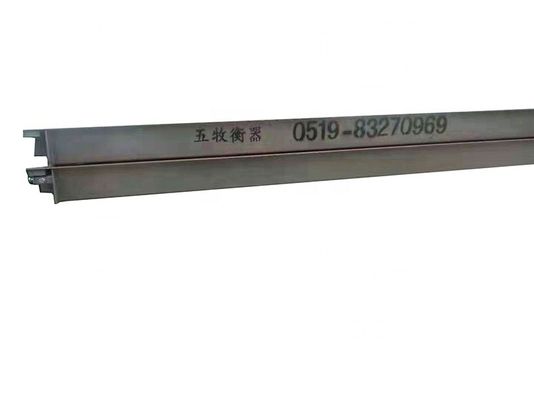 Escala de camião de 60 toneladas OIML III LED Escala de peso digital Peso portátil